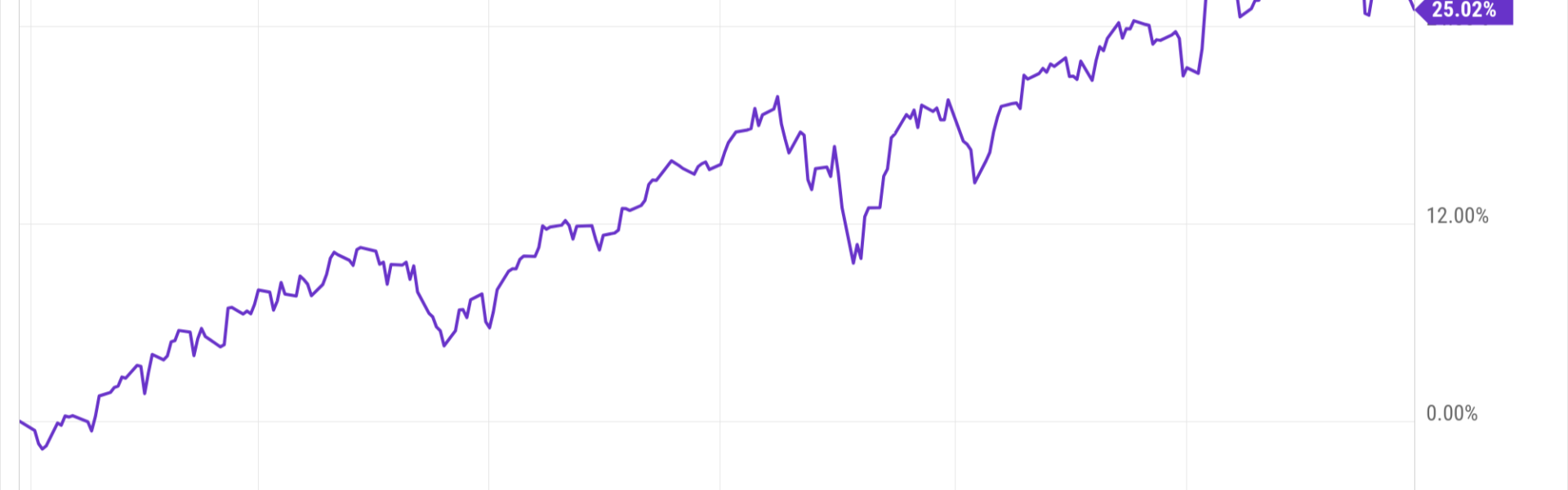 2024: It Was (Another) Good Year in the Stock Market