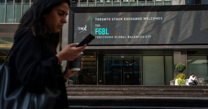 Canadian stock market set to grow in 2025 amid lingering volatility: experts - National